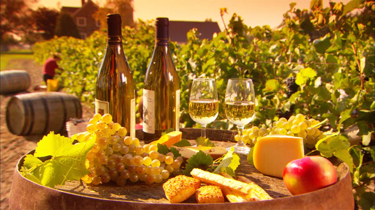 Cocotte-Terroir