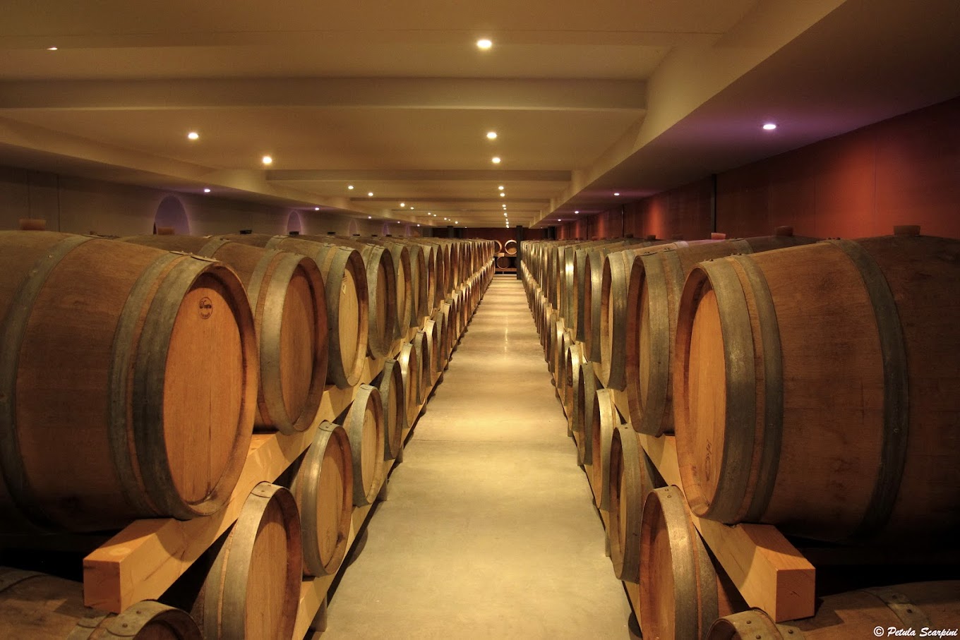 Dom Brial - Baixas